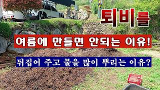 [텃밭농부 2,263]  여름철에 퇴비를 만들면 좋지 않은 이유! #퇴비만들기