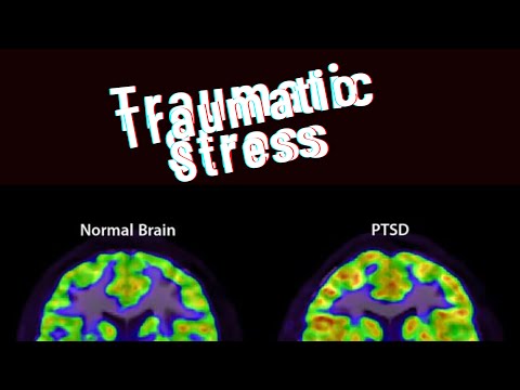 "Bashful Tendencies: The Genre-Fluid Songwriting Couple Redefining Pop Music | An Introduction”