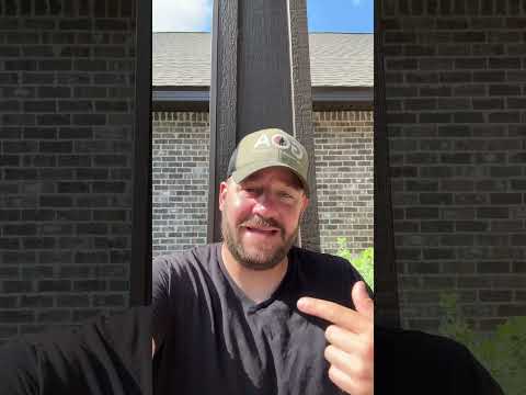 This Could Become The Greatest Thing You’ve Ever Seen… 🐷🐷🐷 #shortsfeed #shortsvideo #langley Thumbnail