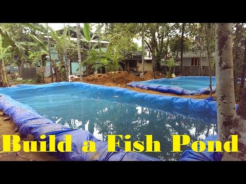 How to build a fish pond | Fish farming in Backyard