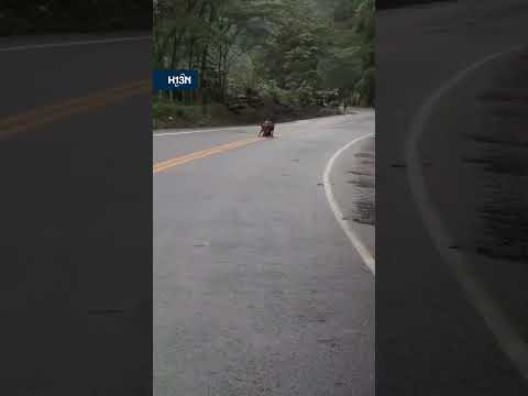 Habilitan el paso entre Dabeiba y Mutatá tras neutralizar cilindro bomba