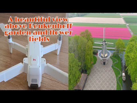 A Beautiful View Above Keukenhof Garden And Flower Fields | Marilyn Duiv