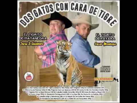 Mis penas son alegria jesus daniel quintero