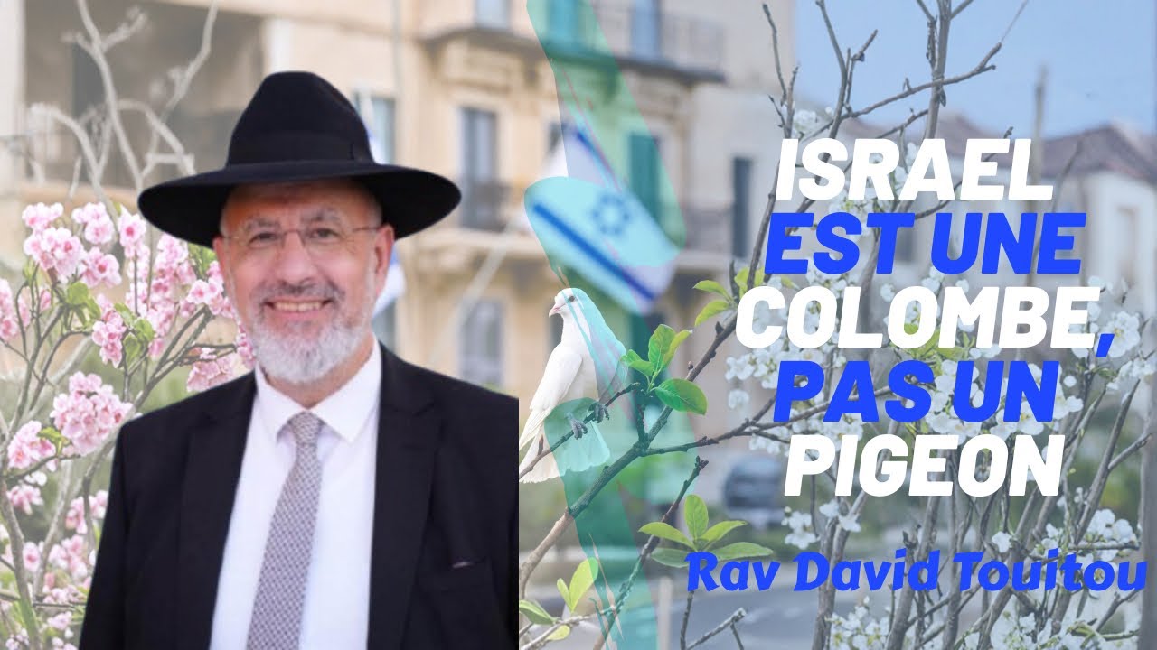 Israël est une colombe pas un pigeon