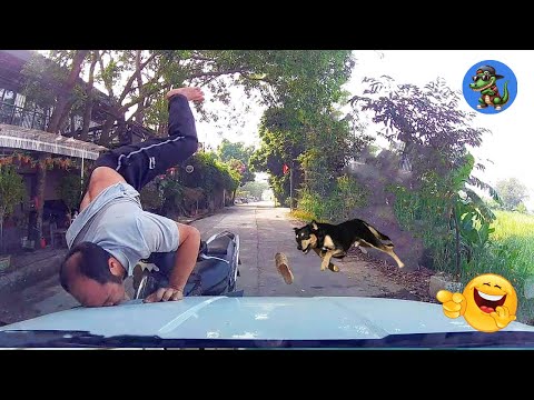 VERSUCHE NICHT ZU LACHEN !!! 🤣🤣🤣 #89