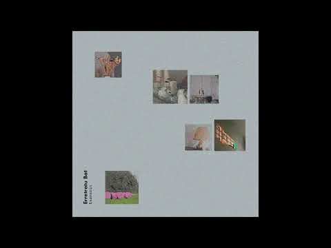 Esanezin - Erretratu Bat (DISKO OSOA)