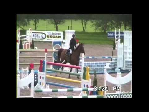 Copy of BLM Sport Horses - 2012 - BLM Cosmopolitan Charlie By Kannan