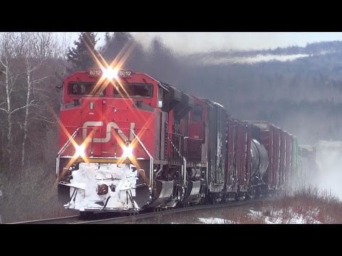CN 8012 West, At The Loop 02-22-2013