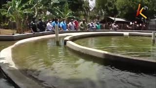 Oshan Farm
