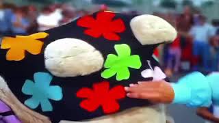 Girl you make my day- The Partridge Family