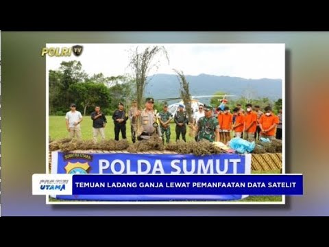 POLDA SUMUT TEMUKAN 5 HEKTAR LADANG GANJA