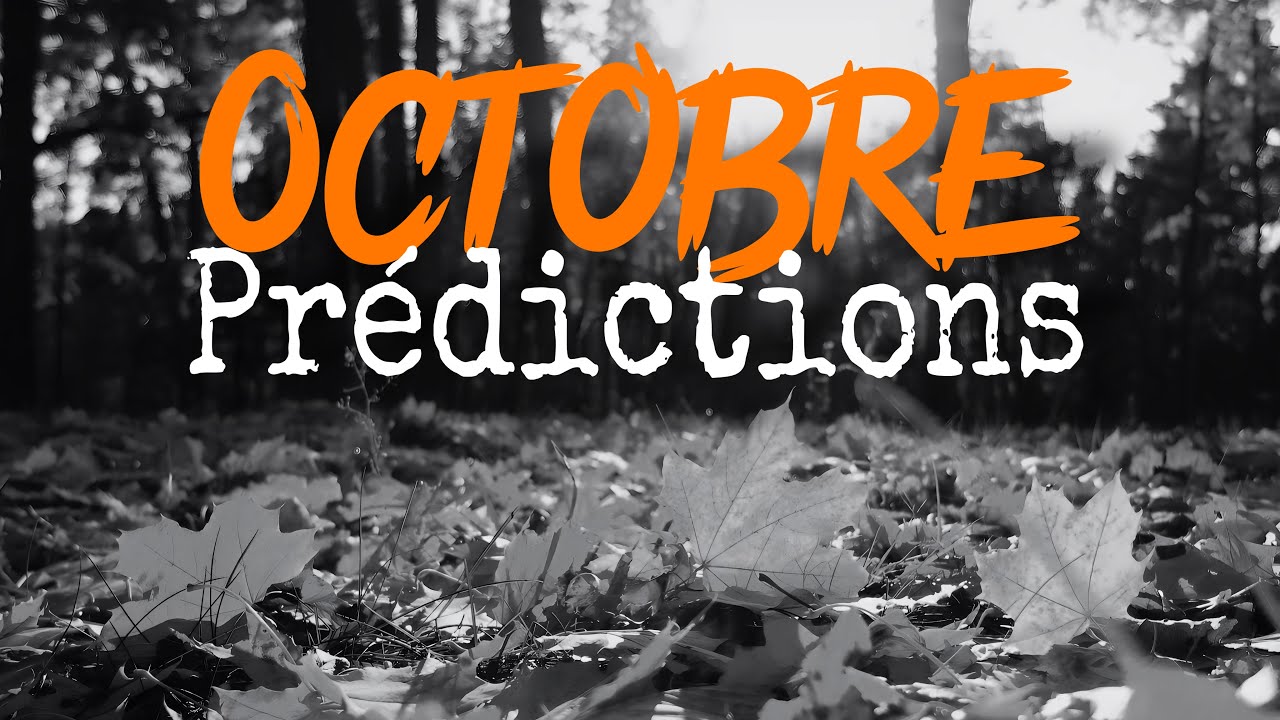 OCTOBRE 2024 mes prédictions : grèves, blocages, disparition, gouvernement...