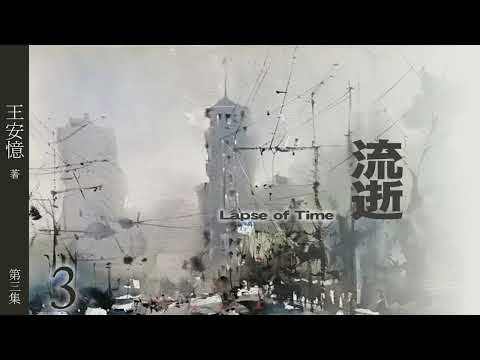 有声小说《流逝》第三集   作者：王安忆 | 海派小说 | 现代文学 | 上海