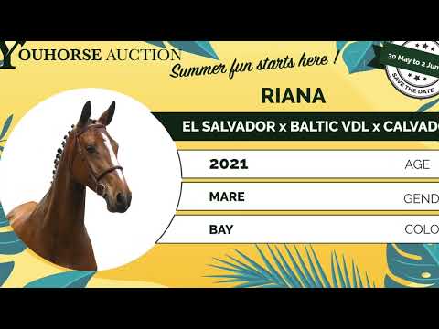 youtube preview