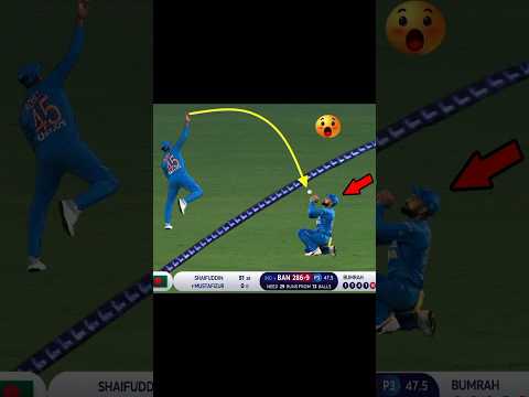 Top 4 impossible Catches in Cricket part 2| Just crick update| #bestcatches #ipl #viratkholi