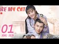 ENG SUB [Be My Cat] EP01 | Fantasy Costume Romantic Drama | starring: Tian Xi Wei, Kevin Xiao