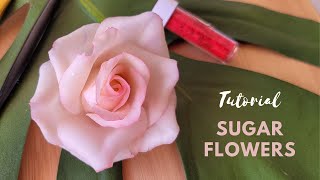 Download lagu 📍EASY Realistic Gumpaste Rose | BEGINNER TUTORIAL 🌸 How to Make an Easy Sugar Flowers! mp3 Download lagu 📍EASY Realistic Gumpaste Rose | BEGINNER TUTORIAL 🌸 How to Make an Easy Sugar Flowers! mp3