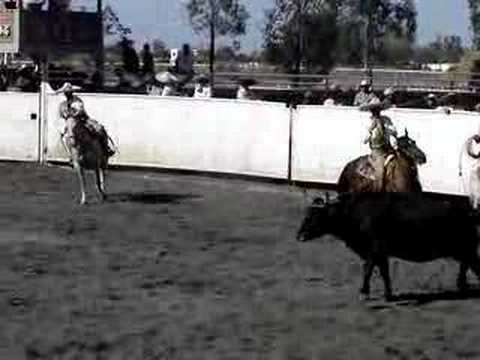 terna piolin y chino padilla rancho toluca