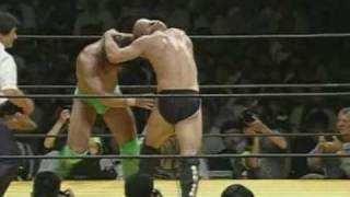 Bas Rutten knockouts