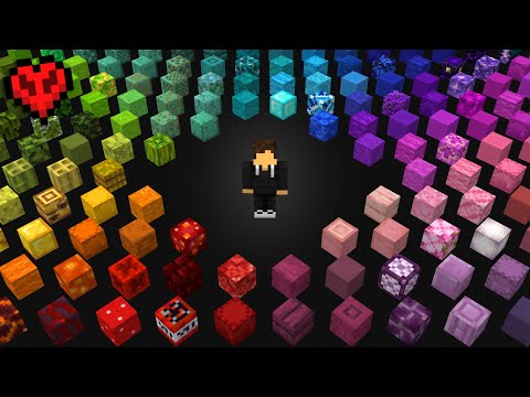 I Collected EVERY Mini Block in Minecraft