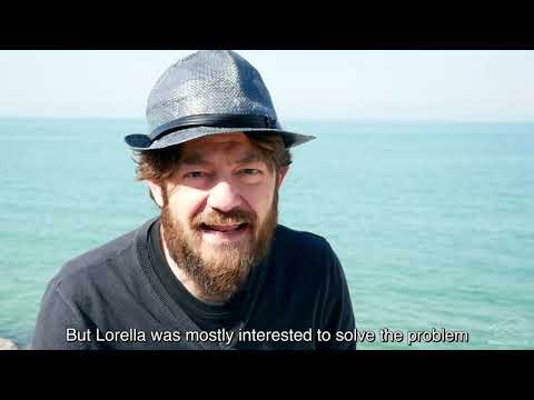 Видеообзор