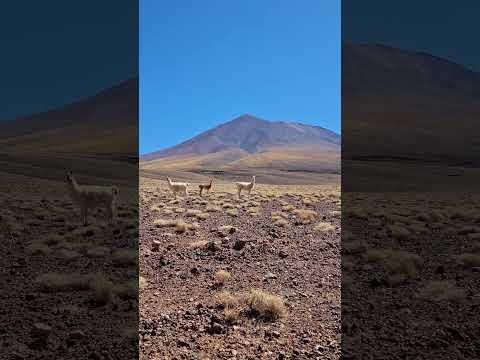 Laguna Verde ll Región de Antofagasta, Chile.. #ollague