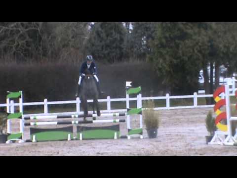 WVUR 4Y horses Aalter April2013