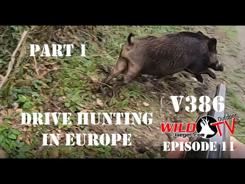 Sesaon 1 Episode 11 - Driven Hunt In Europe Part 1 (France, Belgium, Sweden, NO, LV, LT & EE) V386