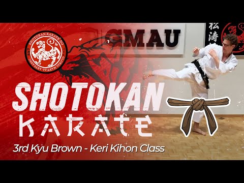 Shotokan Karate - 3rd Kyu Brown - Keri Kihon Class thumbnail