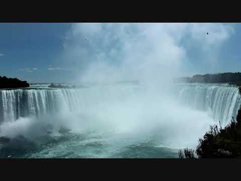 O ce frumoasa fi va cantarea