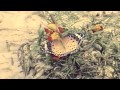Баста - Я твой самый давний сон 
