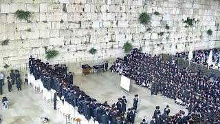 האדמו"ר מבעלזא