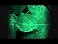 Basement Jaxx - Raindrops (Doorly Remix) (HD ...