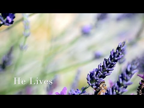 251 SDA Hymn -  He Lives  (Singing w/ Lyrics)