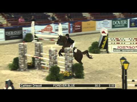 1103 FOREVER BLUE Cathleen Driscoll, Class 227 NAL Adult Jumper Finals