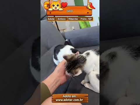 Vídeo de SRD
