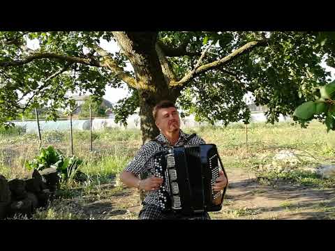 "СТАРЫЙ КЛЕН" (ремикс) Сергей Кузнецов:05.06.2019(11:39)