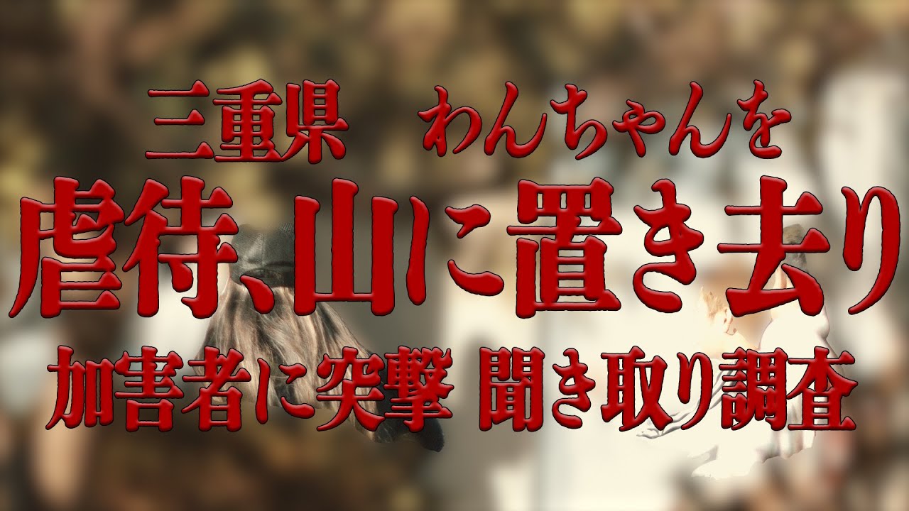 ［動物置き去り］三重県 ミニチュアシュナウザー 虐待置き去り事件 斎藤鷹一と加害者に突撃 投棄場所を聞き取り調査