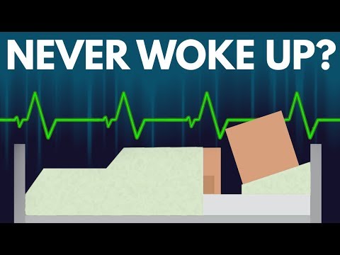 如果人永遠醒不來會怎樣? (What Would Happen If You Never Woke Up?)