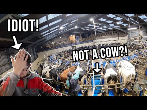 All Aboard The Rotary! | Who Let The Cows OUT!?