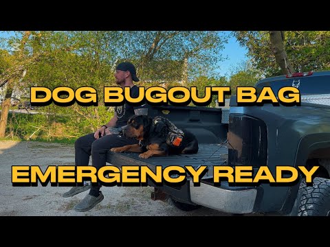 Dog Bugout Bag Essentials (Don’t Forget Your Best Friend)