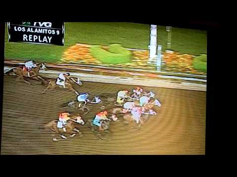 9/11/11 Race 9 TheGo Man Go Handicap Stakes  Freaky