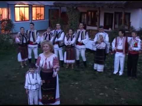 Formatie nunta Galati -Trio Royal- Dida Agache Am facut la viata mea