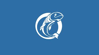 preview picture of video 'Hirtshals Fisk - Frisk fisk direkte fra fiskeauktion til døren'