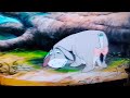 Les Aventures De Winnie L Ourson VHS Extrait 15