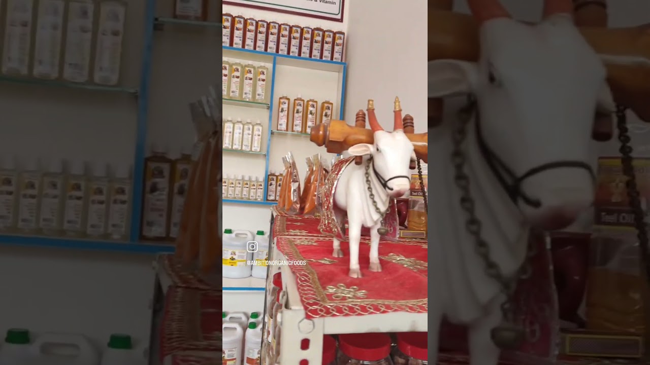 Ambition Organic Foods Amravati 9588603148