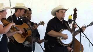 Pretty Polly - Nitro Ride