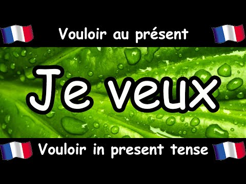 VOULOIR (To Want) Conjugation Song - Present Tense - French Conjugation - Le Verbe VOULOIR