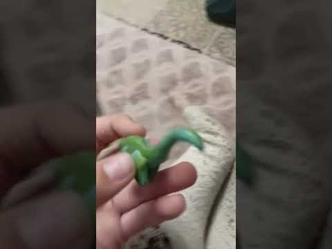 Monster Prehistoric Sea Life 2