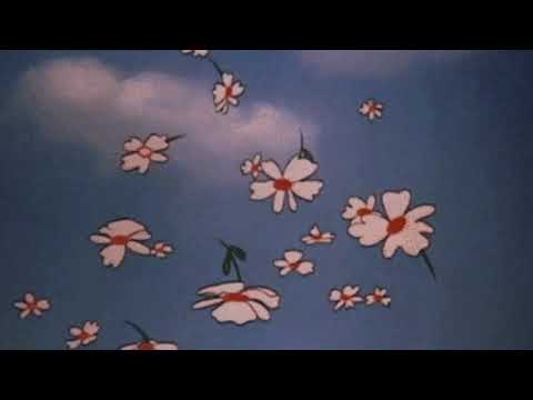 sunset rollercoaster - my jinji (slowed + reverb)